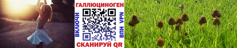 Галлюциногенные грибы GOLDEN TEACHER MEGA сайт Глазов